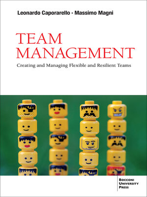 cover image of Team Management